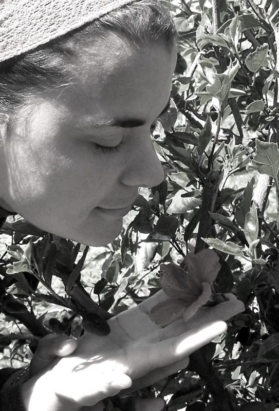 "Aromas de primavera" de Ins Mara Olavarra