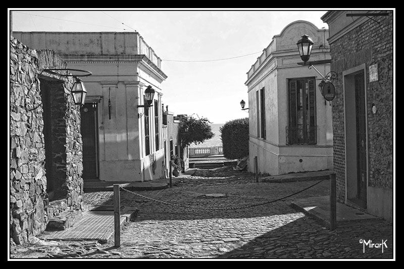 "colonia" de Mirta Steinberg