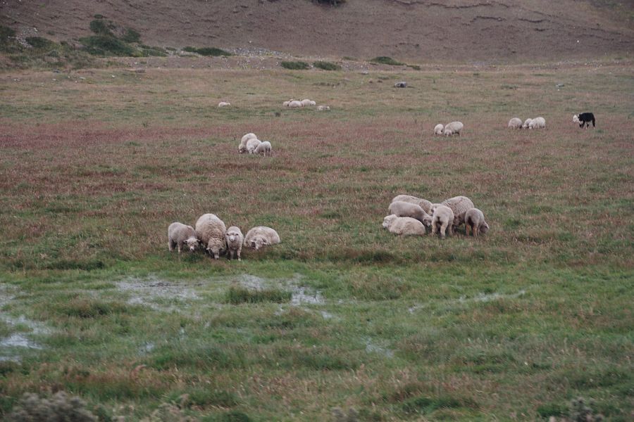 "`ASI ES LA PATAGONIA ARGENTINA`" de Jose Alberto Vicente