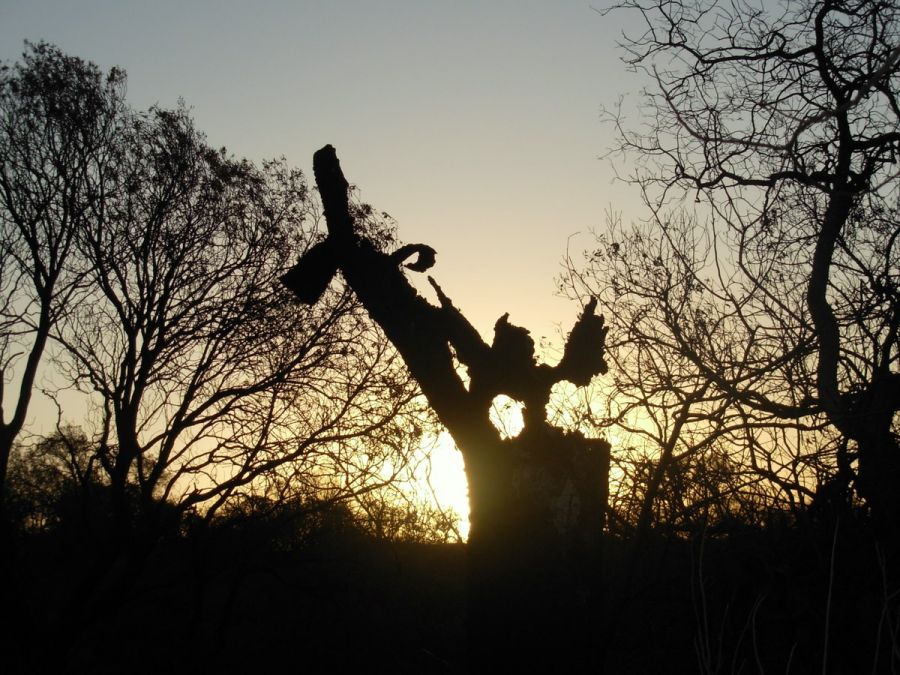 "El duende del atardecer" de Jorge Berterretch