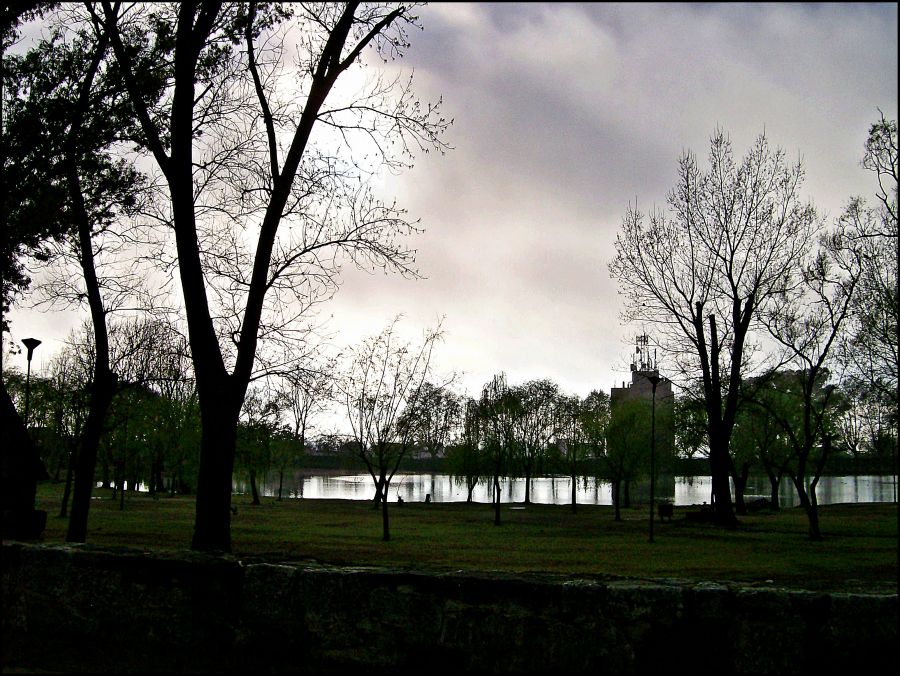 "Cuando se retira la niebla, en el Tajamar" de Martha A. Moreschi