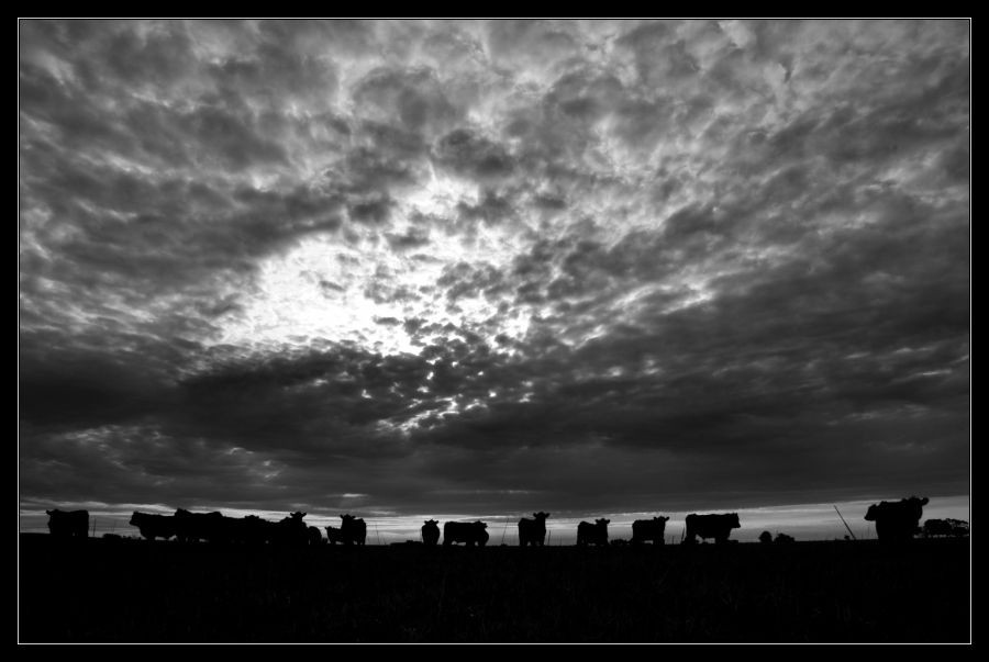 "Un atardecer en el campo" de Seba Japas