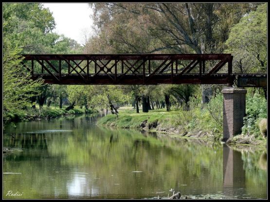 "Puente frreo..." de Roberto Di Siervi