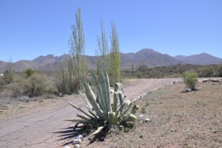 "`SIERRAS DE ENCALADA` (4)" de Jose Alberto Vicente