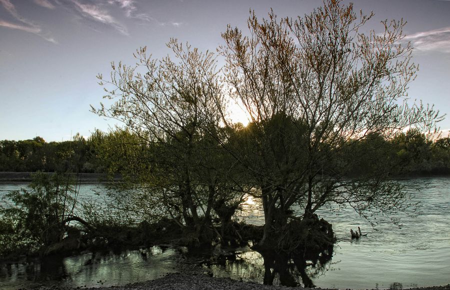 "`Rio Neuquen...`" de Jorge A. Cceres