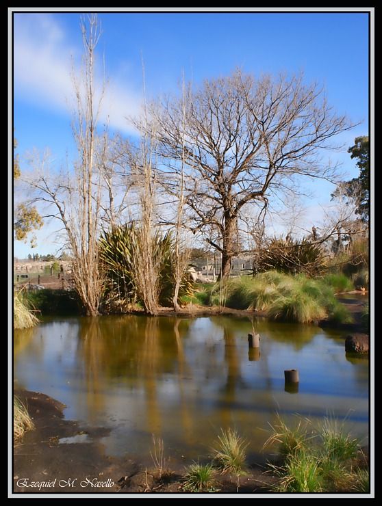 "pinceladas en el agua" de Ezequiel M. Nasello