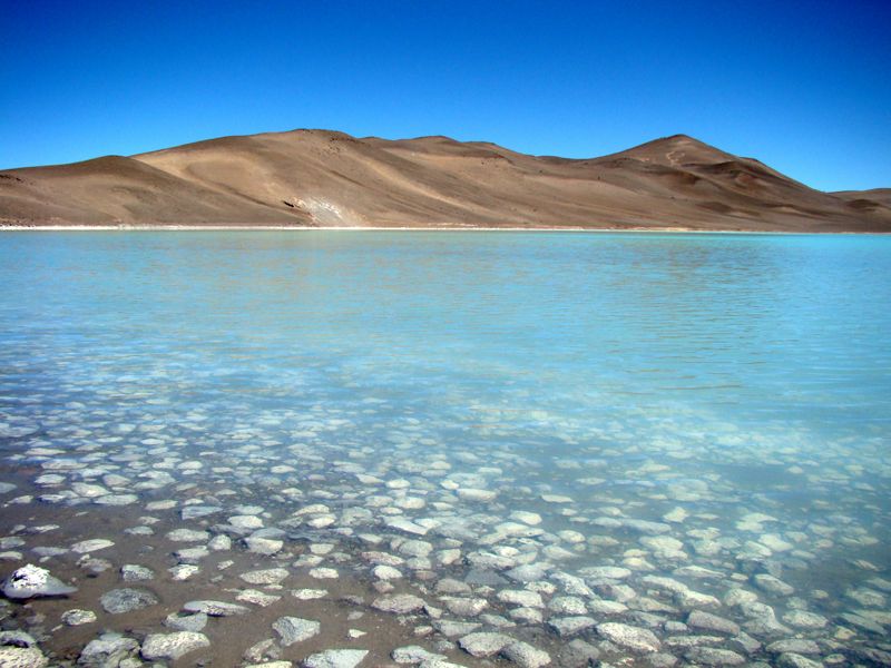 "Laguna muerta" de Pablo Aspee