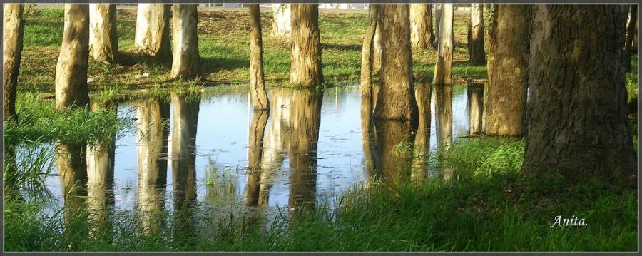 "Reflejos." de Ana Llaneras.