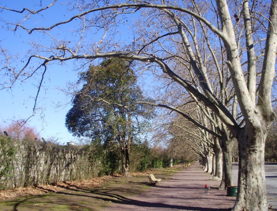 "Otoo...en el parque de Azul" de Noelia Montes De Oca