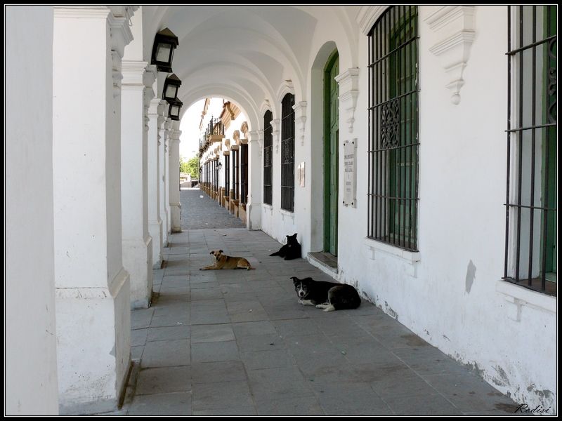 "Esperando la siesta..." de Roberto Di Siervi