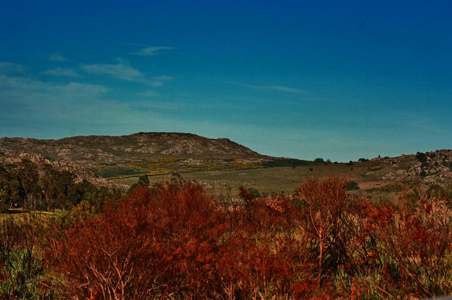 "Cerro El Mate - Tandil" de Carmen Nievas