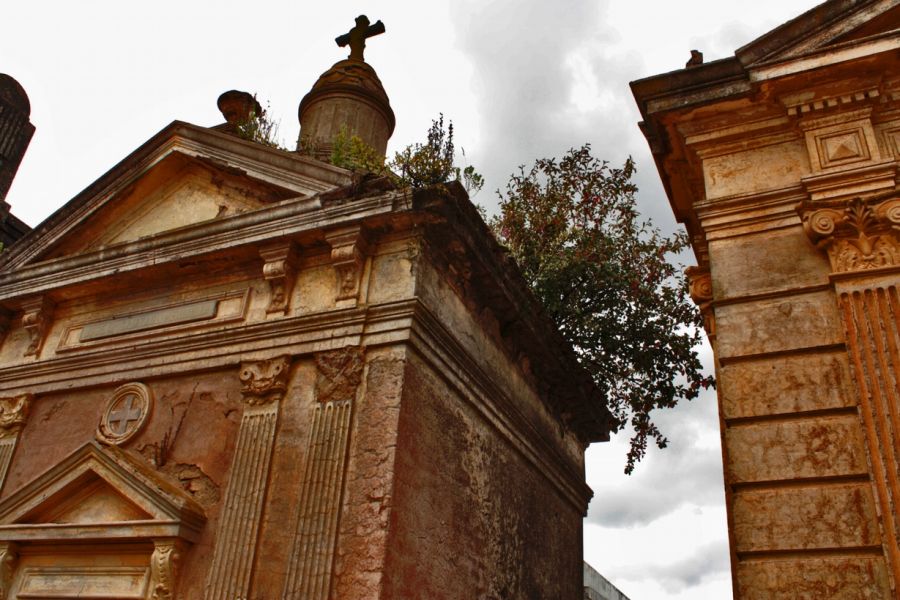 "Vida y muerte" de Carmen Nievas