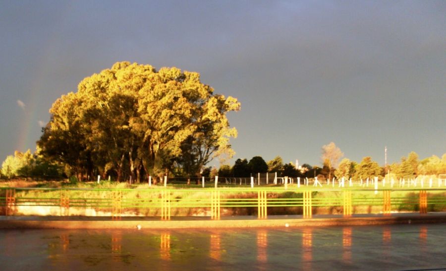 "Puente de colores" de Margarita Pellegrini