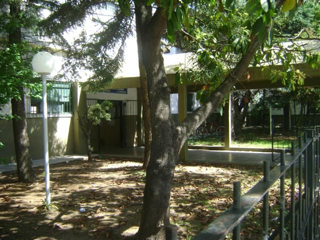 "arbol en la escuela" de Eduardo Garcia Valsi