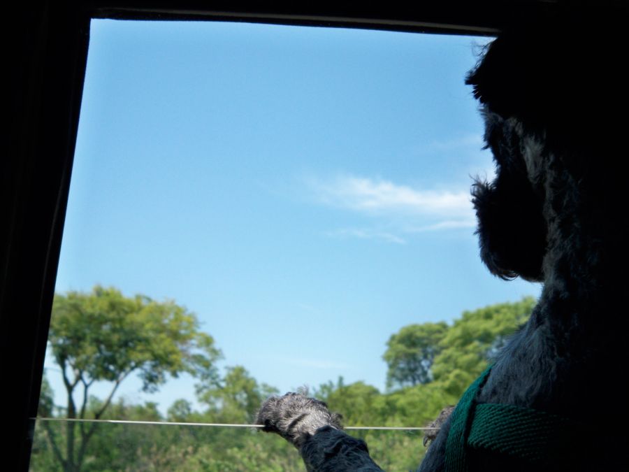 "mirando el paisaje" de Ral Riba