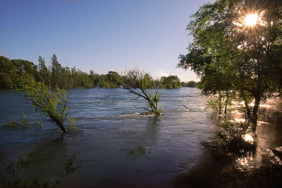 "` Ro Limay`" de Jorge A. Cceres