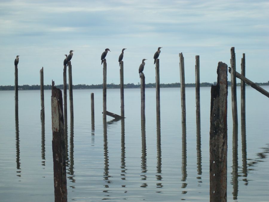 "chascomus 2" de Carlos Goverchesky