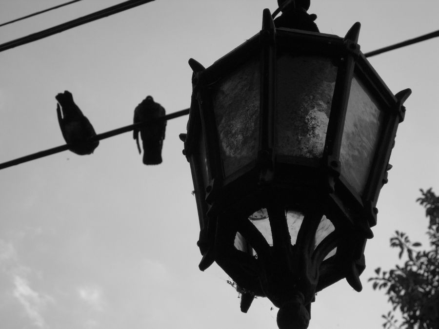 "farol en recoleta" de Carlos Goverchesky