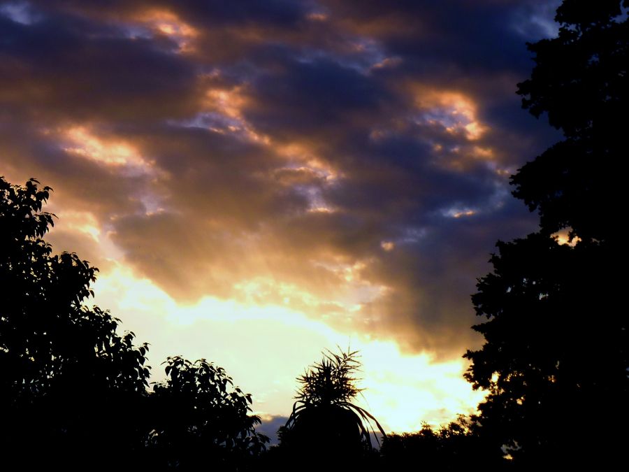 "atardeceres para recordar" de Noemi Gomez