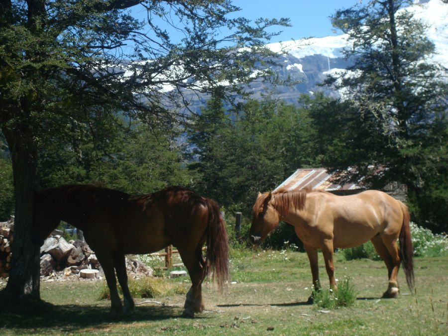 "bariloche 1" de Carlos Goverchesky