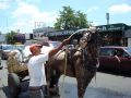 refrescando al amigo