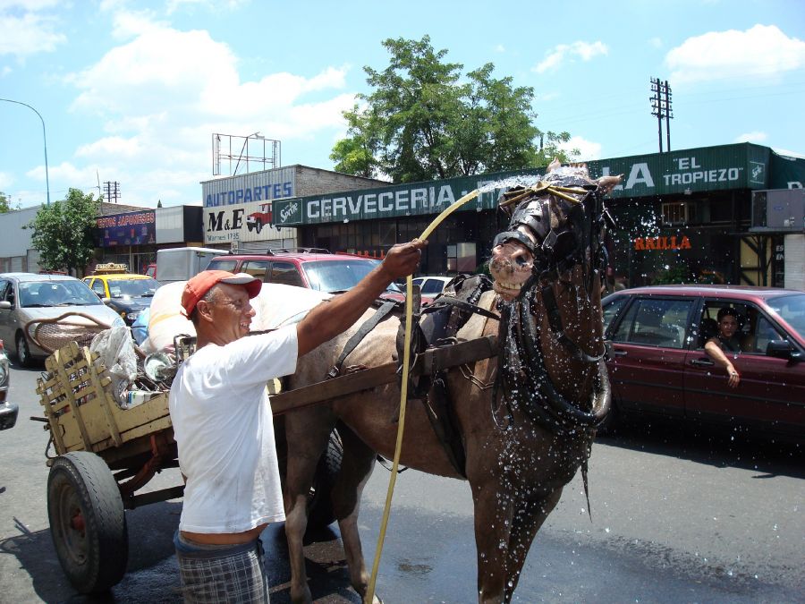 "refrescando al amigo" de Carlos Goverchesky