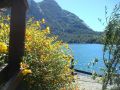 flores en bariloche 7