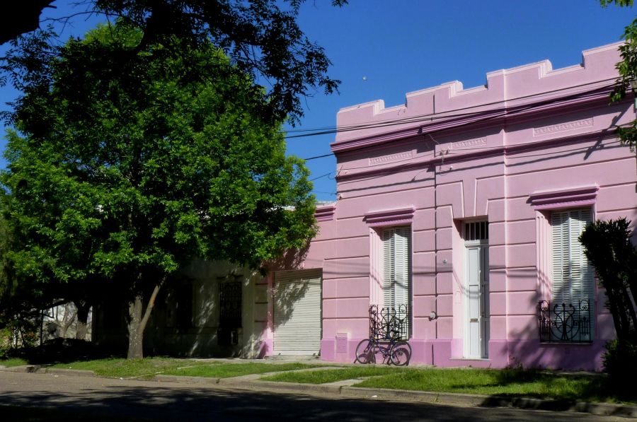 "la rosadita" de Noemi Gomez