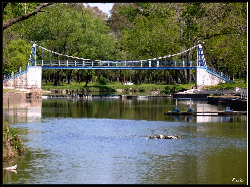 "Puente colgante..." de Roberto Di Siervi