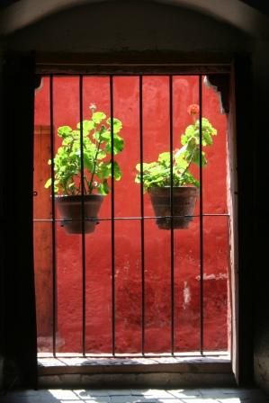 "La ventana de los dos malvones" de Rubn Quintana