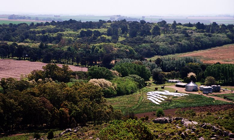 "campos argentinos" de Adriana Torchia