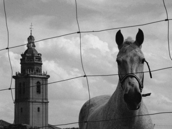 "enredados" de Jose Moreno Castillo