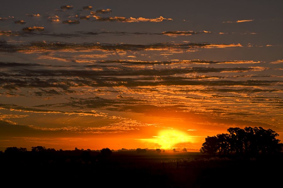 "Atardecer en la Pampa II" de Manuel Raul Pantin Rivero