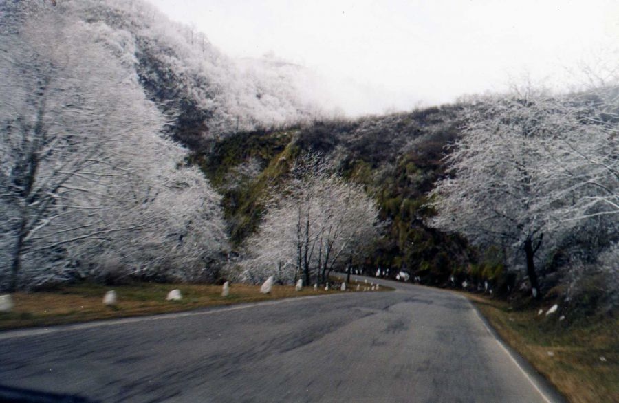 "camino nevado" de Ral Riba