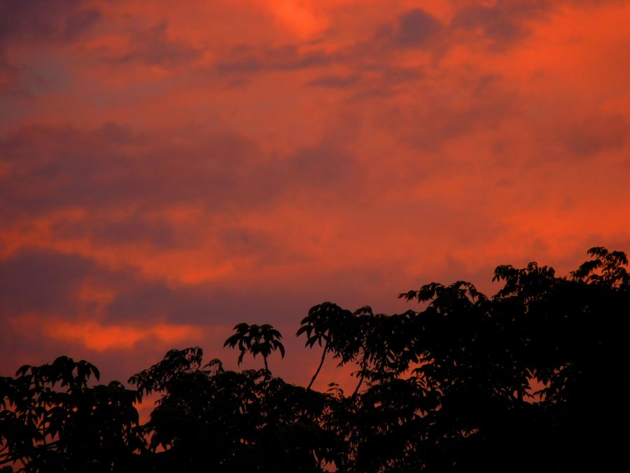 "atardecer de mi coleccion" de Noemi Gomez