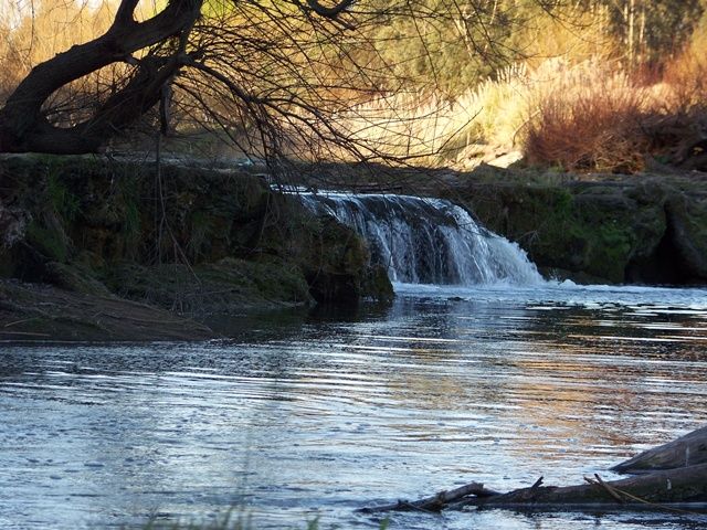 "cascadas" de Silvina Romero