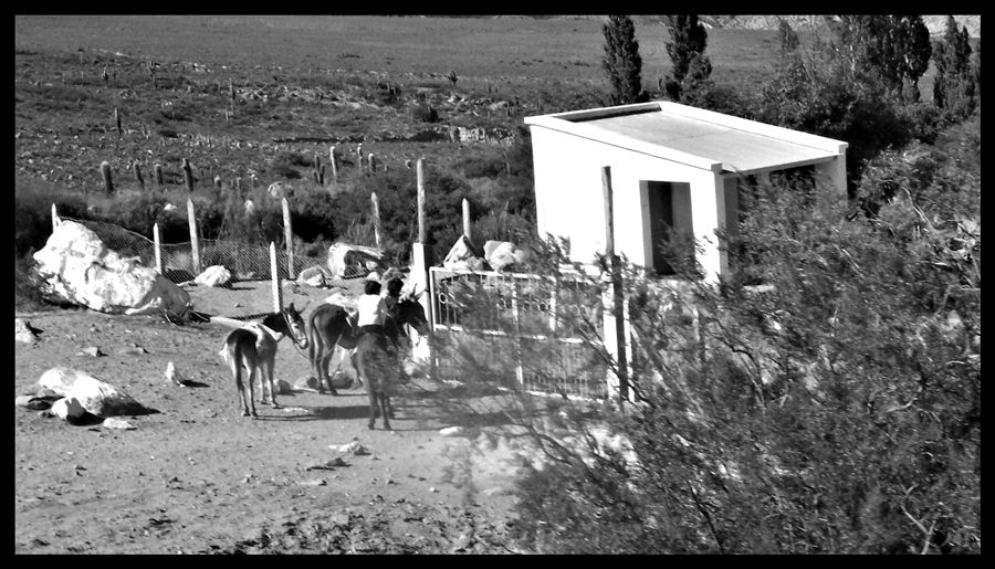 "amigos" de Ral Riba