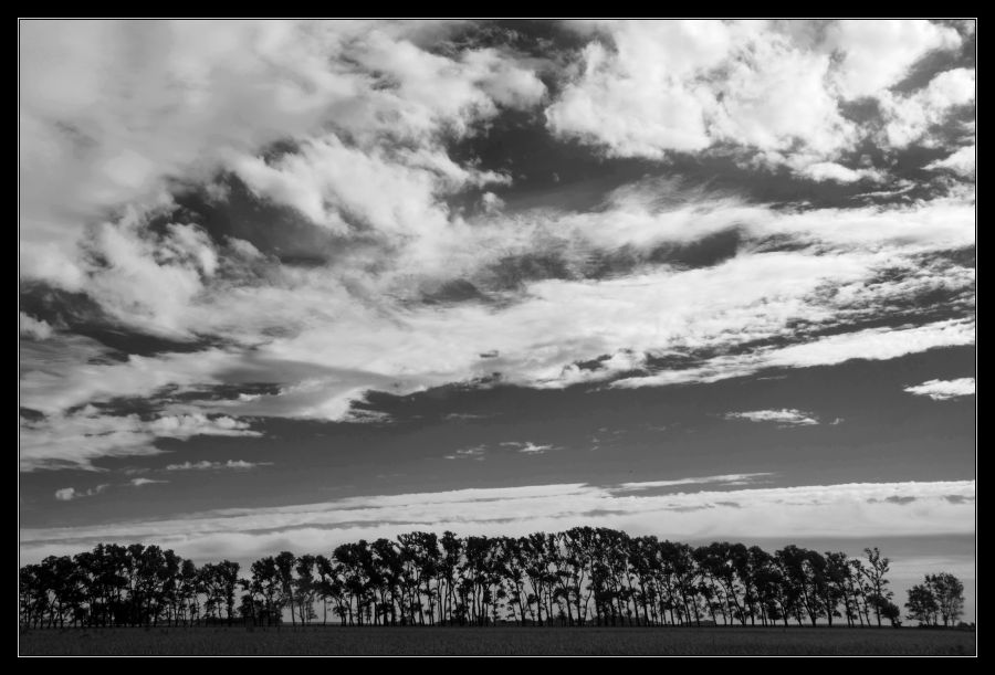 "Solo un cielo" de Seba Japas