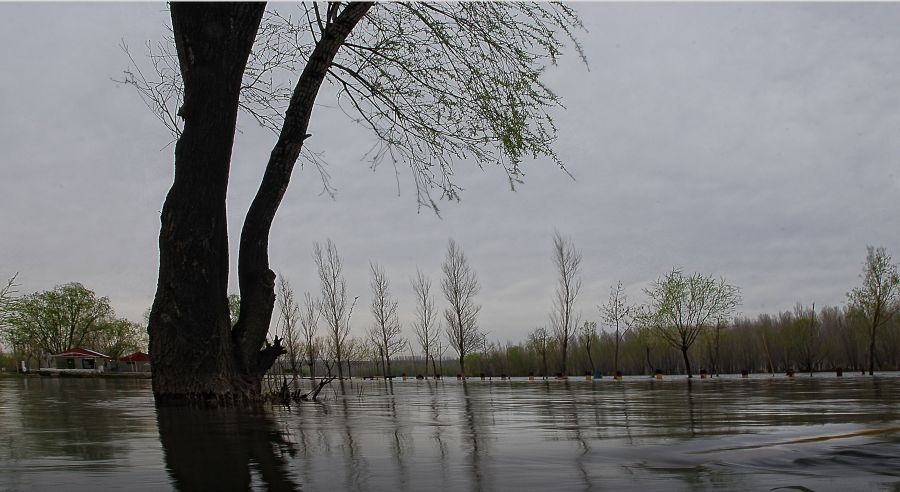 "`viento y lluvia`" de Jorge A. Cceres