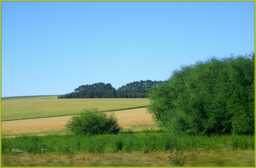 "La loma." de Ana Llaneras.