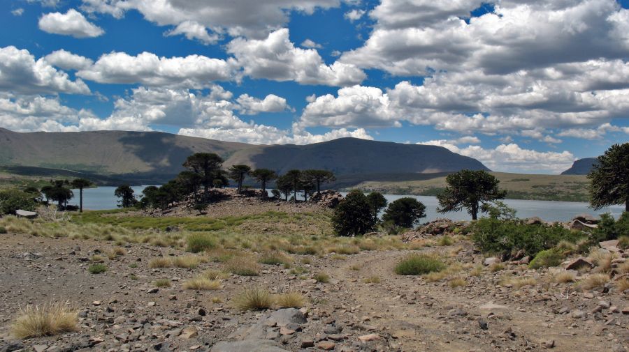 "Nubes sobre el lago" de Patricia Sgrignuoli