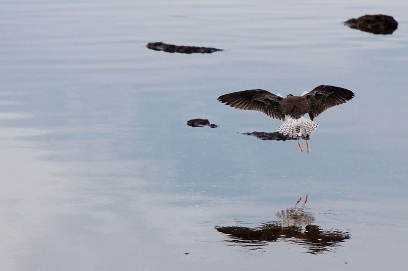 "LAGUNA DE LOS PATOS 1" de Matias Calvo Producciones Fotograficas