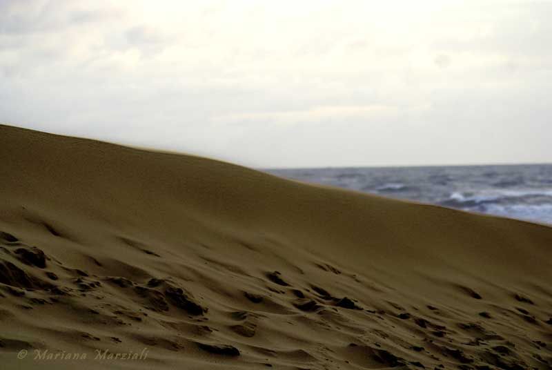 "La duna" de Mariana Marziali