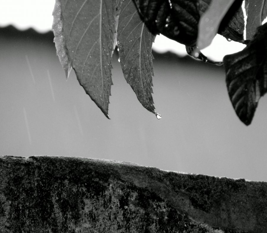 "aun lloviendo" de Noemi Gomez