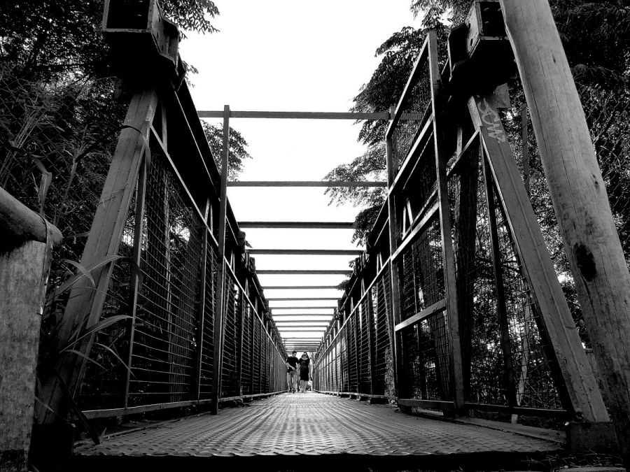 "Un puente." de Nina Onetto