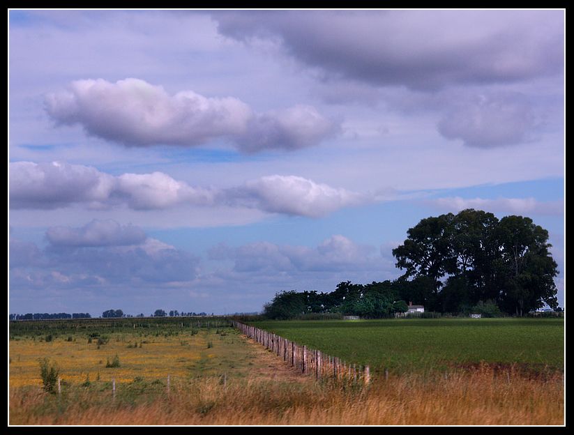 "Perspectiva campestre" de Eli - Elisabet Ferrari