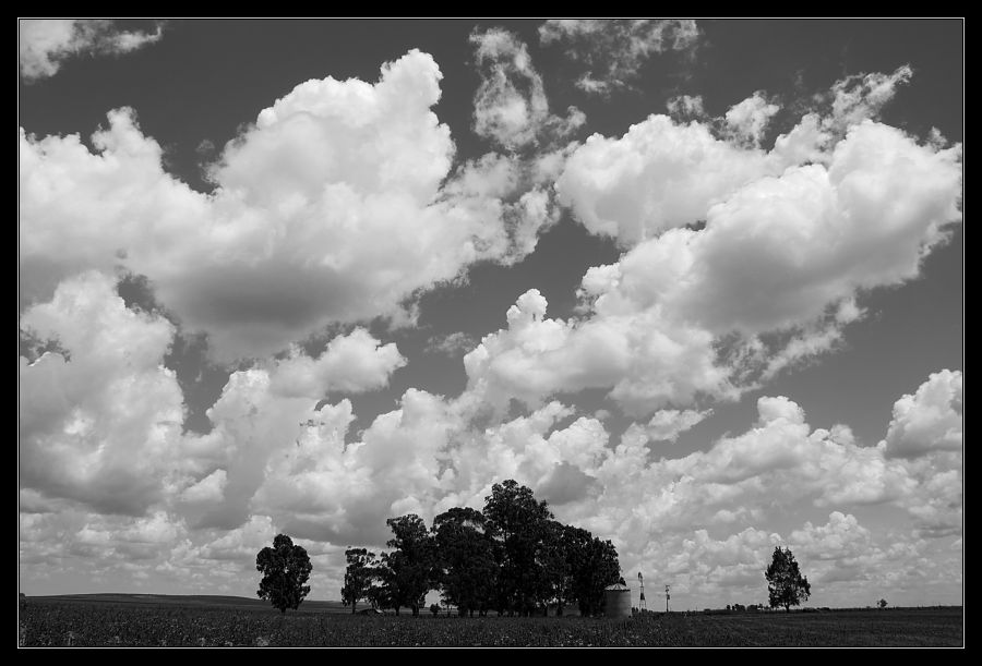 "Nubes en el campo" de Seba Japas