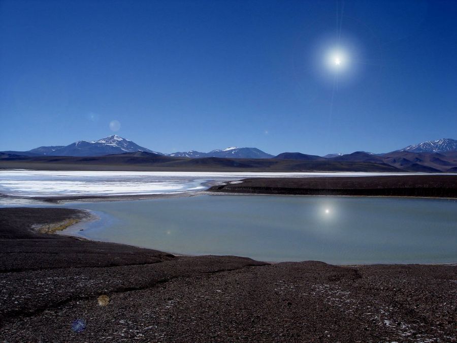 "Laguna Brava" de Cecilia Serrano