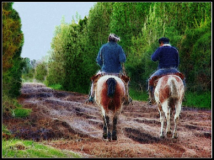 "Gente de a caballo" de Eli - Elisabet Ferrari