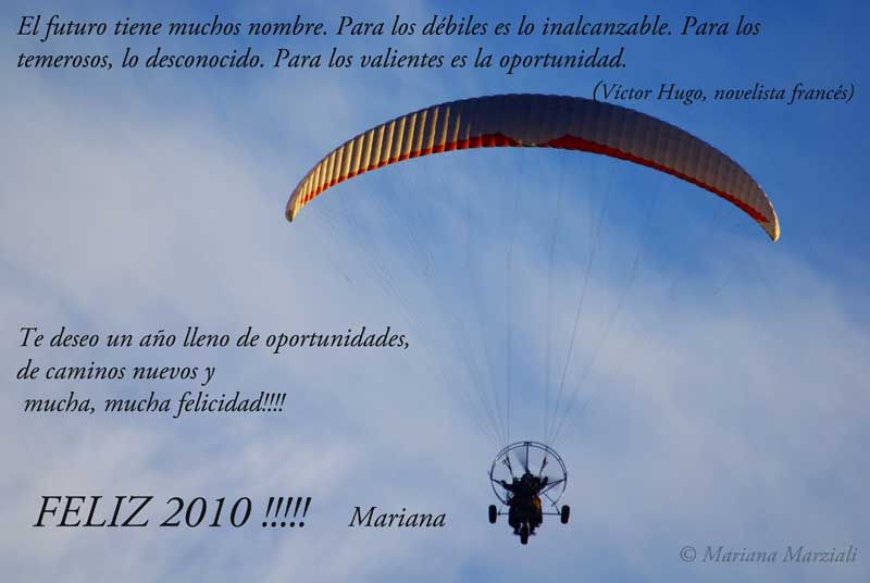 "Feliz 2010!!!!" de Mariana Marziali